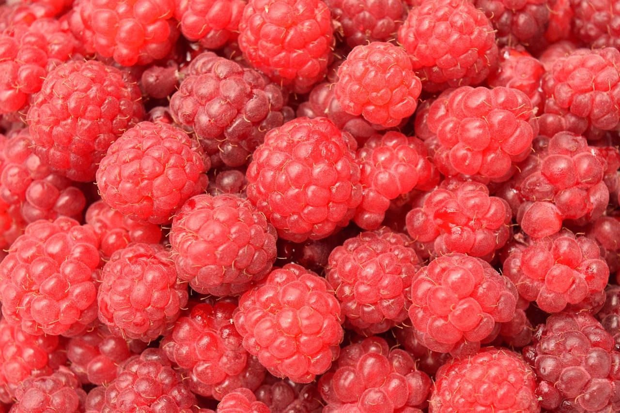 Svež zeleni smoothie ob gozdnem potoku z zelišči in limonino rezino